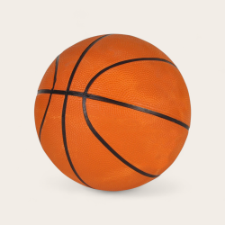 Nordic Basketball Bronze Outdoor Basketbold - Str. 5