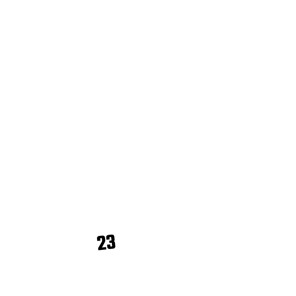 Billede